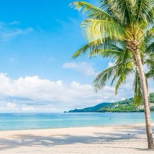 Meet your Posher, Rocio